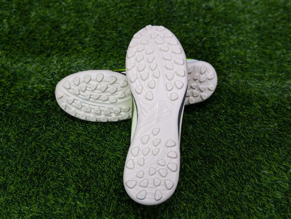 Semi high neck football turf parrot (1)