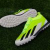 Semi high neck football turf parrot (2)