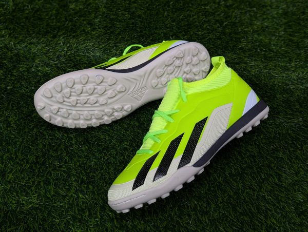 Semi high neck football turf parrot (2)