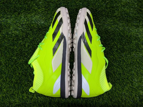 Semi high neck football turf parrot (3)